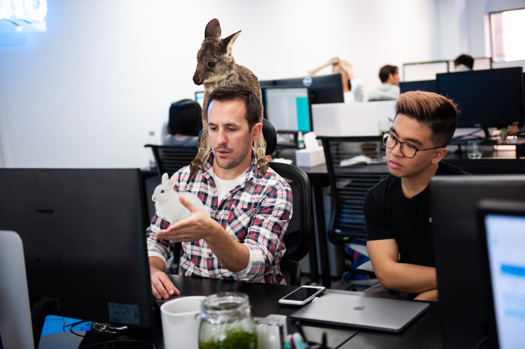 Sparro introduces a ‘pick-your-own-pet’ buddy system for new starters